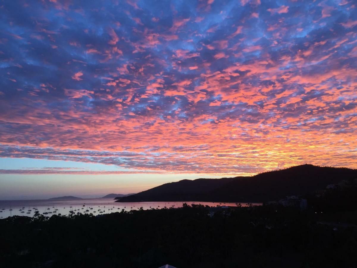 Island Views Bed & Breakfast Airlie Beach Ngoại thất bức ảnh